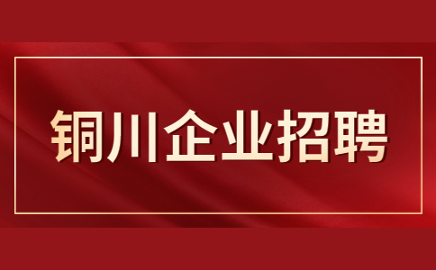 铜川企业招聘销售经理